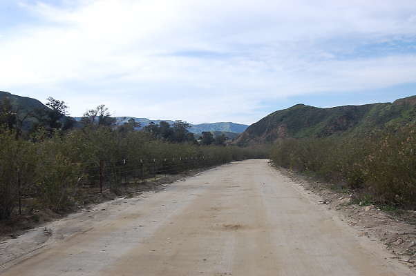 DSC 0201