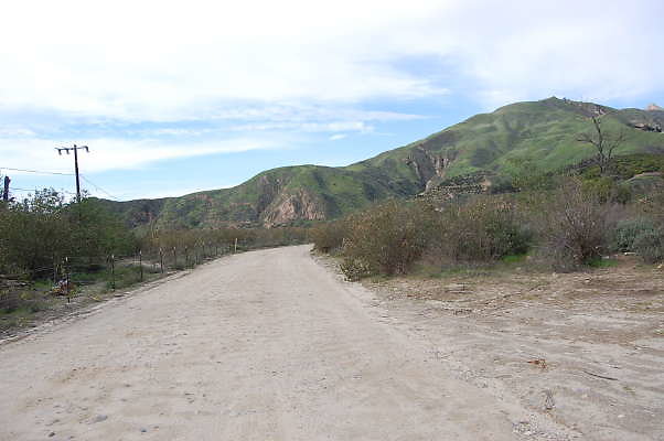 DSC 0193