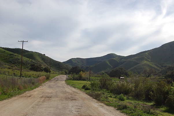 DSC 0141