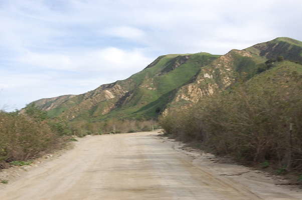 DSC 0118