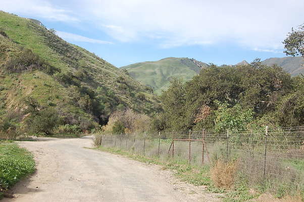 DSC 0146