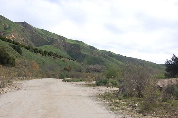 DSC 0127