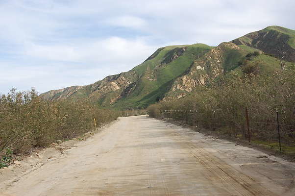DSC 0116
