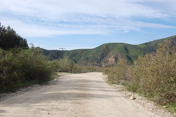 DSC 0164