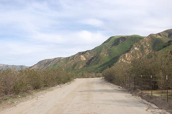 DSC 0117