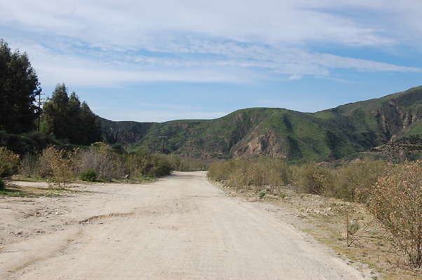 DSC 0162