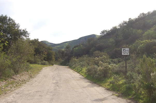 DSC 0136