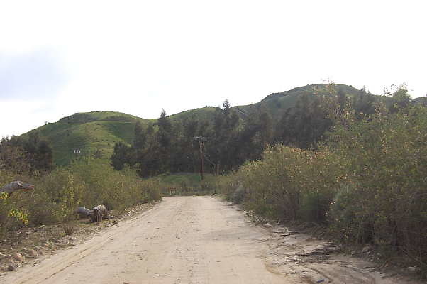 DSC 0123