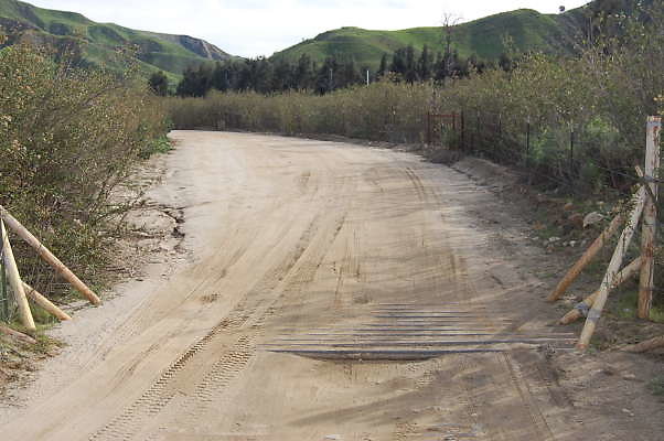 DSC 0111