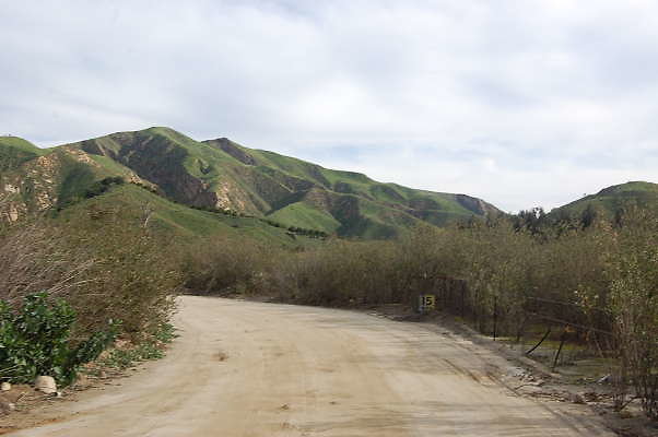 DSC 0113