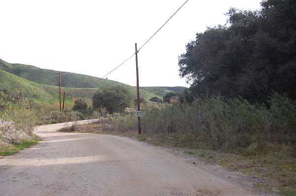 DSC 0132