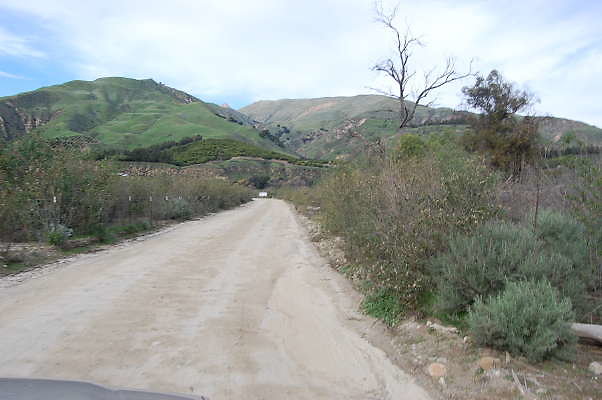 DSC 0195