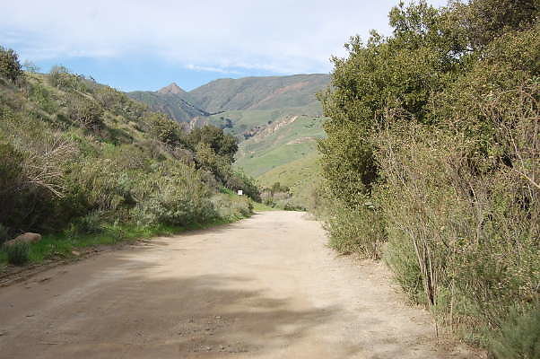 DSC 0151