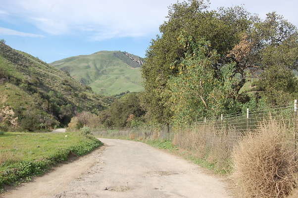 DSC 0145