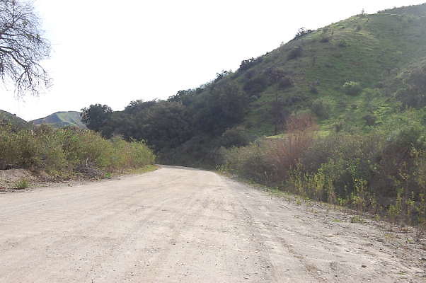 DSC 0130