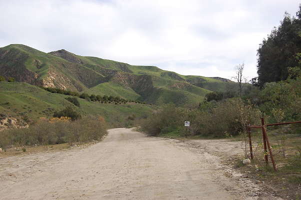 DSC 0125