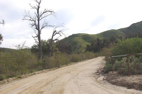 DSC 0121