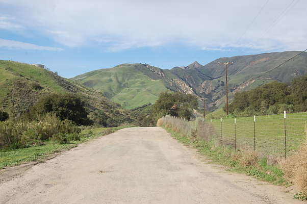 DSC 0142