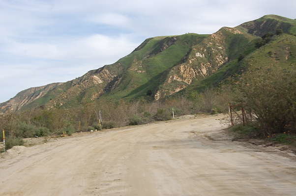 DSC 0119
