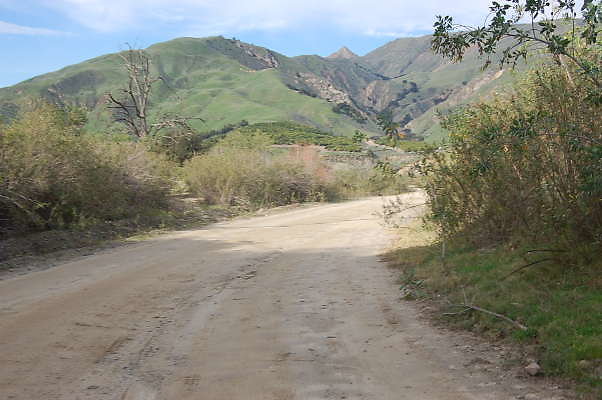 DSC 0158