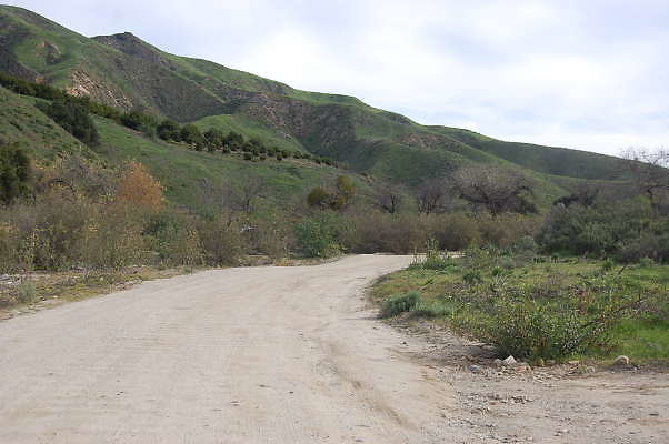 DSC 0128