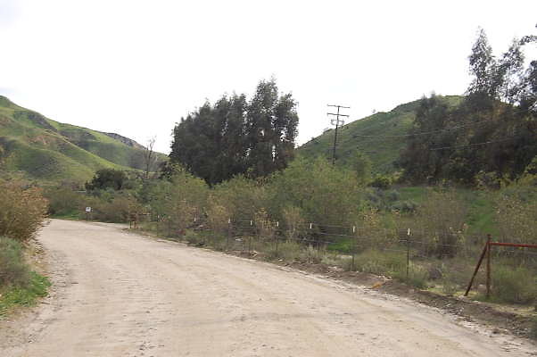 DSC 0124