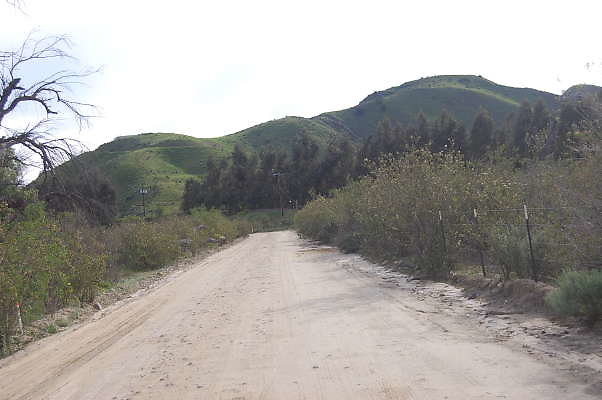 DSC 0122