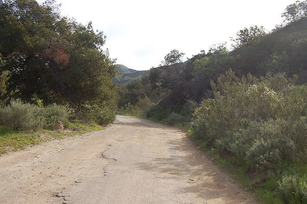 DSC 0137