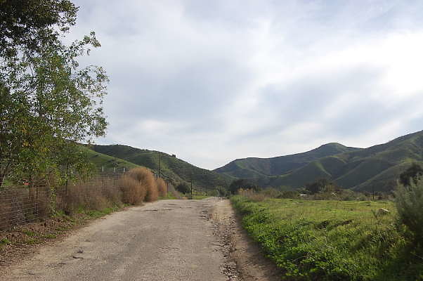 DSC 0140
