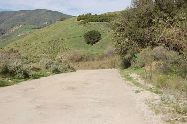 DSC 0154