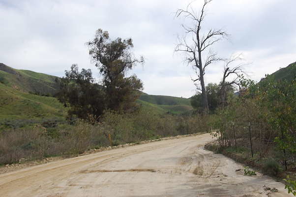 DSC 0120