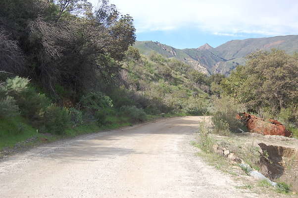 DSC 0149