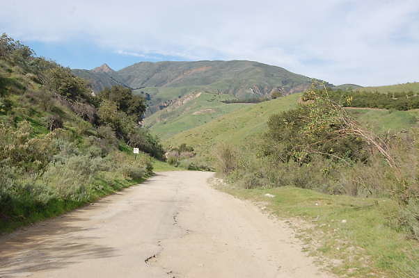 DSC 0152