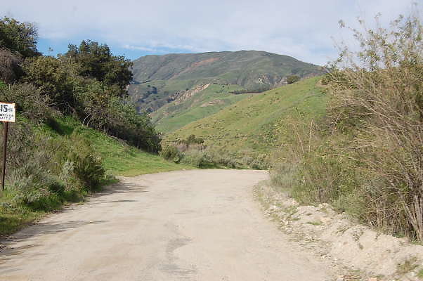 DSC 0153