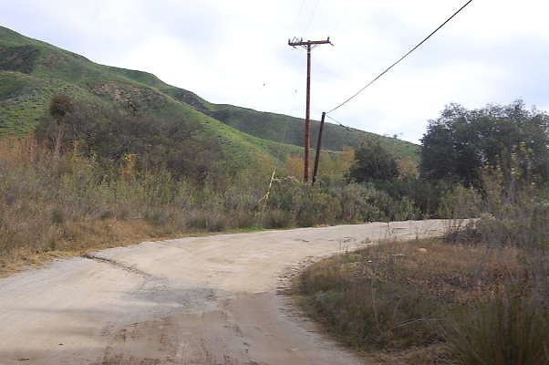 DSC 0133