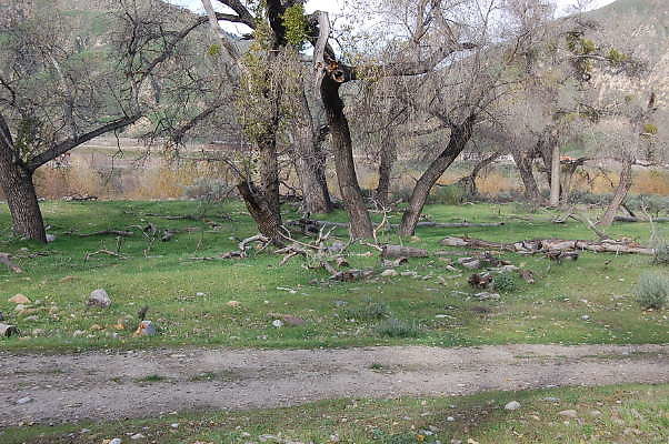 DSC 0028