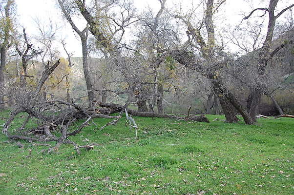 DSC 0037