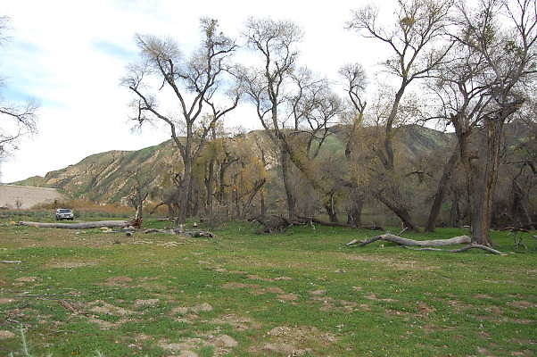 DSC 0045
