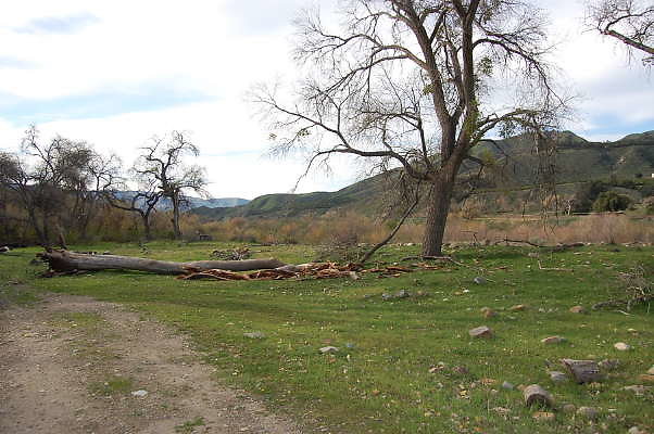 DSC 0018