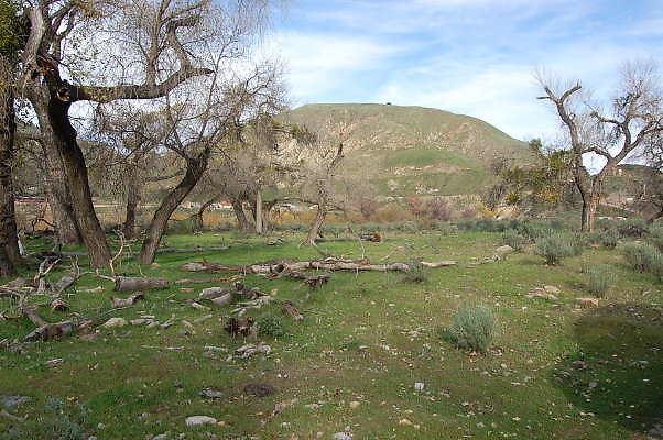 DSC 0020