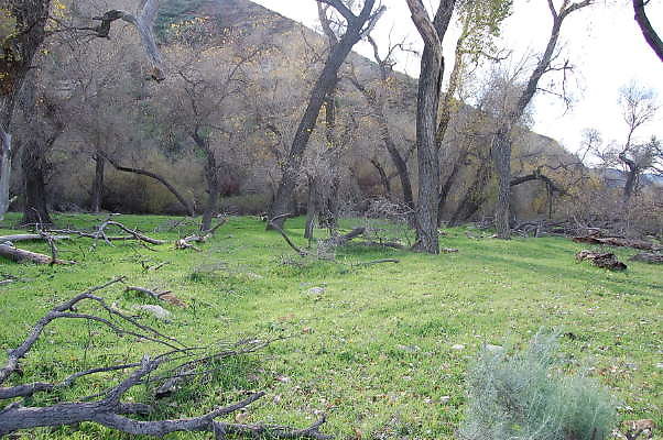 DSC 0026