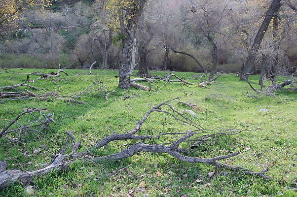 DSC 0025