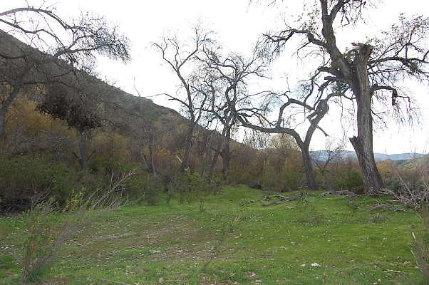DSC 0042