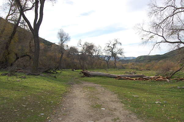 DSC 0016
