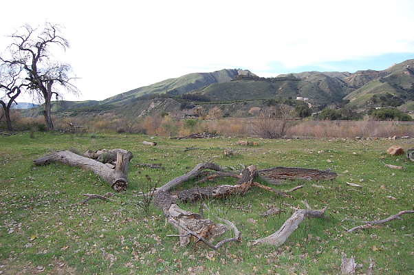 DSC 0036