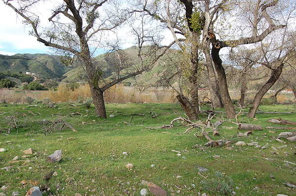 DSC 0019