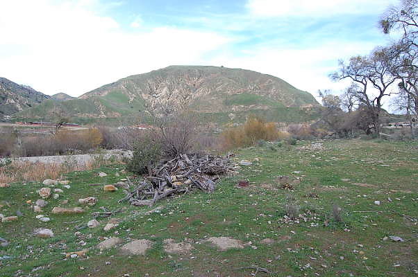 DSC 0043