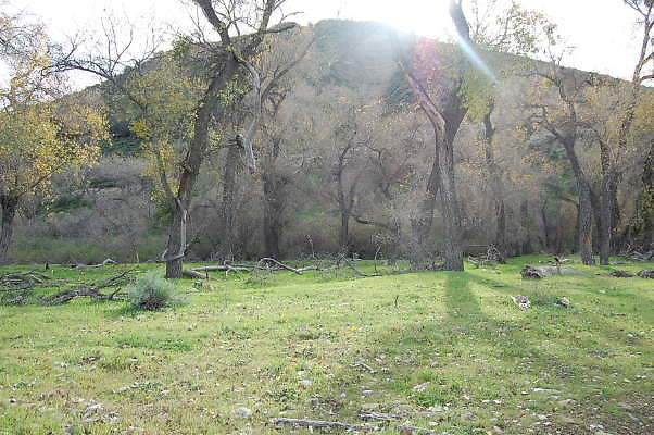 DSC 0015