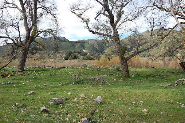 DSC 0017