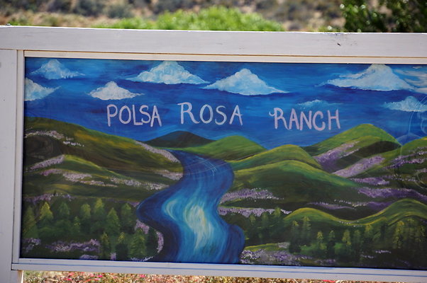 Polsa.Rosa.Mesa.02